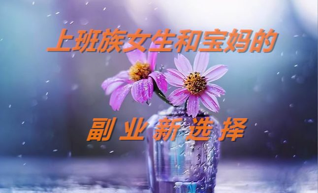 有哪些适合女生和宝妈下班后做的副业？醒牛启汇，我的线上赚钱好帮手